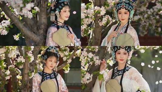 京剧花旦在春天盛开的树下思念高清在线视频素材下载