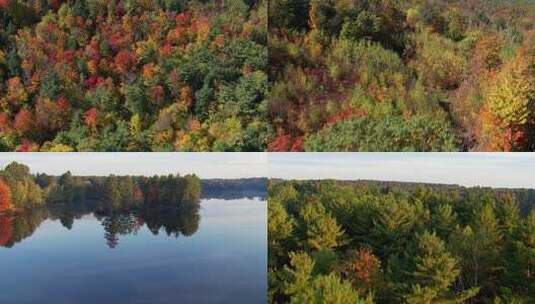 秋天五彩斑斓的颜色12分钟超长合集高清在线视频素材下载