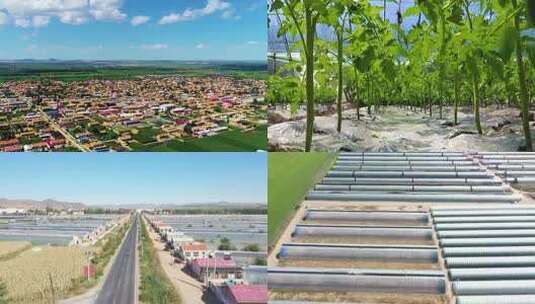农田蔬菜大棚俯拍全景高清在线视频素材下载