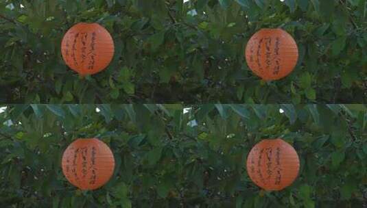 中秋节绿叶间挂的纸灯笼高清在线视频素材下载