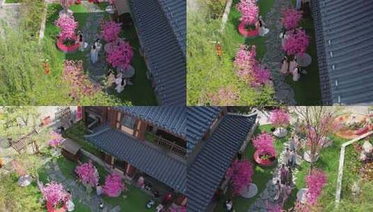 汉服女子花丛嬉戏高清在线视频素材下载