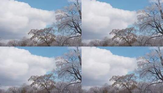 吉林四方顶景区山顶雾凇风光美景高清在线视频素材下载