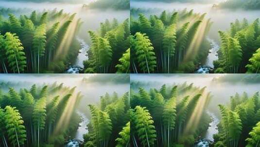 翠竹子竹林竹叶光影丁达尔耶稣光4K高清在线视频素材下载