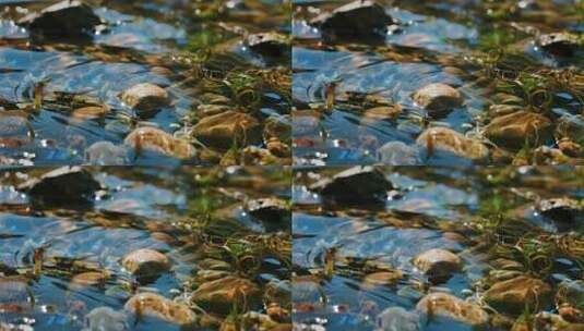 溪流鹅卵石清澈见底清新自然特写视频高清在线视频素材下载