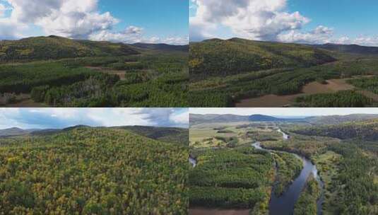大兴安岭原始森林初秋天航拍高清在线视频素材下载