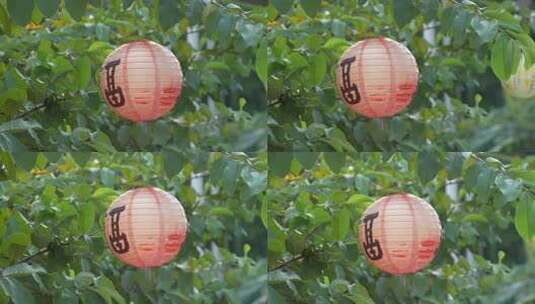 中秋节绿叶间挂的纸灯笼高清在线视频素材下载