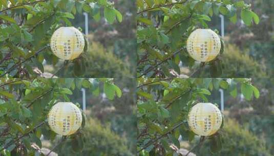 中秋节绿叶间挂的纸灯笼高清在线视频素材下载