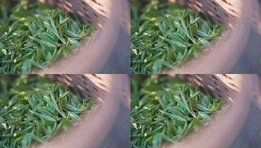 竹篮中鲜嫩茶叶特写高清在线视频素材下载