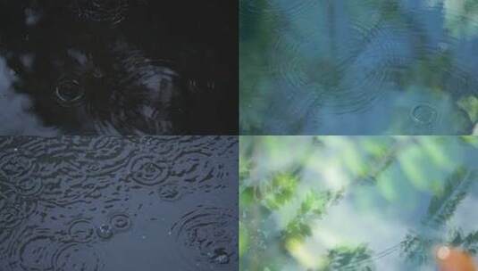 下雨天氛围雨滴涟漪自然意境雨后清新氛围高清在线视频素材下载