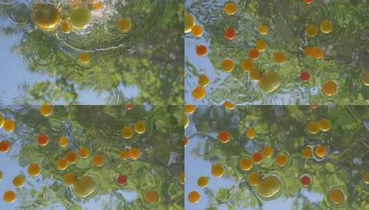 番茄入水溅起水花画面高清在线视频素材下载