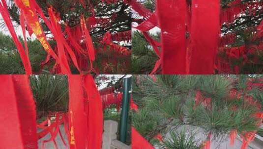许愿树红布条许愿高清在线视频素材下载