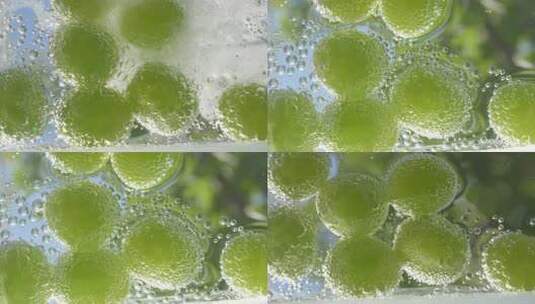 水中气泡环绕的绿色葡萄高清在线视频素材下载