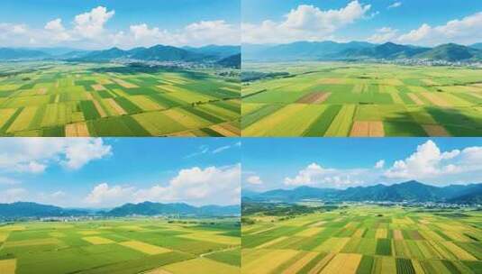 航拍乡村田野自然风光高清在线视频素材下载