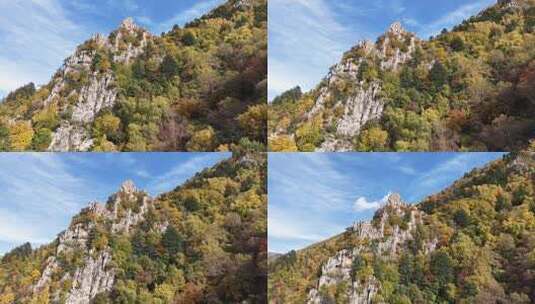 秋日山林与岩石景观高清在线视频素材下载