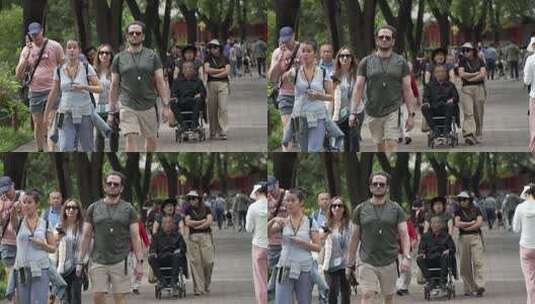 行人漫步林荫街道高清在线视频素材下载