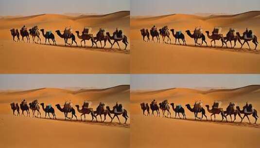 沙漠中行进的骆驼队高清在线视频素材下载