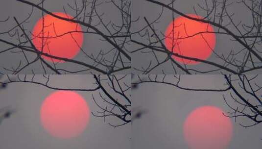 唯美意境落日余晖高清在线视频素材下载