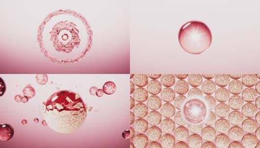 粉色精华祛斑修复皮肤美白细胞视频高清在线视频素材下载