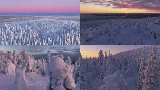 雪景森林冰雪世界阳光日出日落唯美大自然高清在线视频素材下载