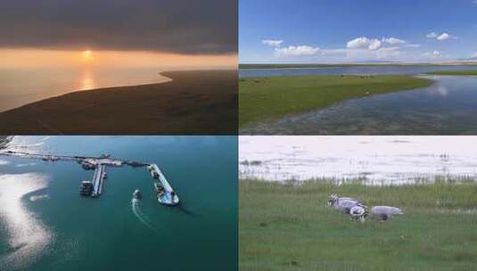 环青海湖视频合集高清在线视频素材下载