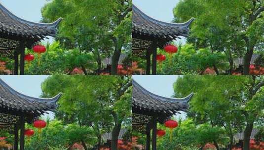 中式古建筑园林景观高清在线视频素材下载
