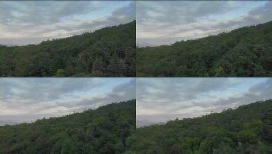 森林和建筑航拍景观高清在线视频素材下载