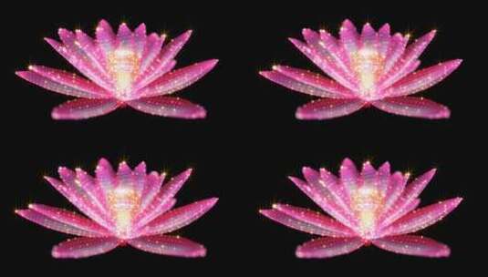 粉色粒子莲花循环高清在线视频素材下载