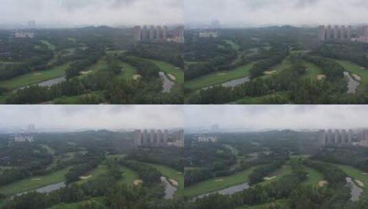 航拍深圳龙华区观澜高尔夫球场高清在线视频素材下载