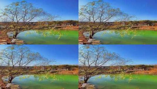 风景这边独好，一起享受大自然的美风景治愈高清在线视频素材下载