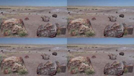 彩色的石化原木高清在线视频素材下载