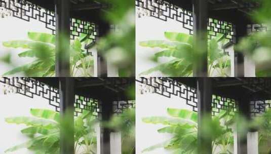 中式合院园林景观回廊雕刻艺术高清在线视频素材下载