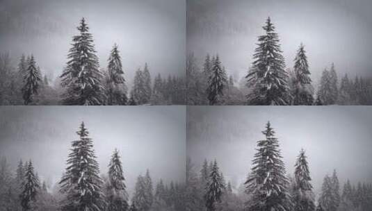 入冬寒冬 大雪降落在森林树木草地上高清在线视频素材下载