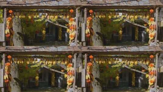银杏村中挂满玉米的木门高清在线视频素材下载