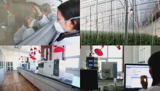 瓜果蔬菜实验室检测29个镜头 医疗也可用高清在线视频素材下载