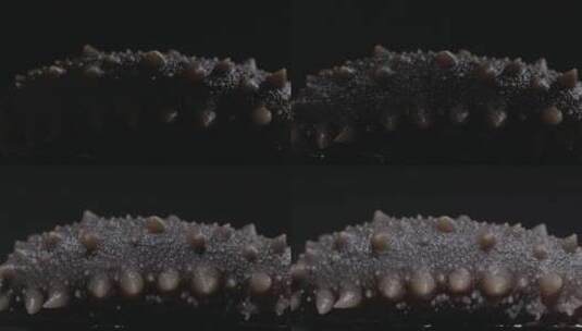 海参影棚微距拍摄LOG高清在线视频素材下载