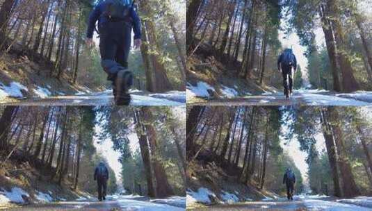 森林中走路的男人户外旅行的男人高清在线视频素材下载