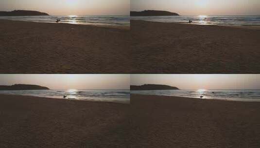 冲浪者在日出时到海上冲浪高清在线视频素材下载