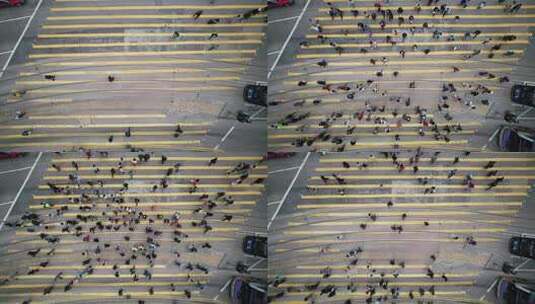 5.4k 香港铜锣湾斑马线人流 车流高清在线视频素材下载
