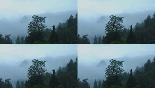 雨中的武当山高清在线视频素材下载