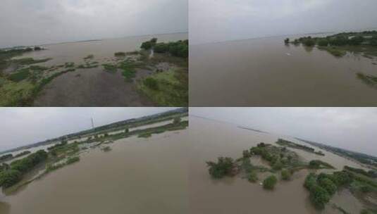 穿越机航拍邵伯湖沿湖村码头鸟类动力冲浪高清在线视频素材下载