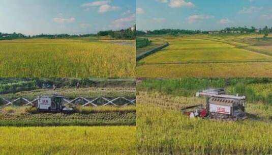 乡村振兴农业稻田收割机收割机水稻高清在线视频素材下载