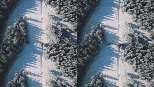 4K-航拍滑雪场上滑雪的人高清在线视频素材下载
