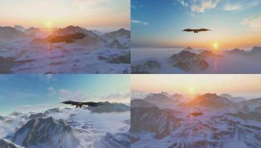 一只雄鹰飞越雪山高清在线视频素材下载