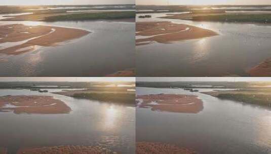 湛江乐民港红树林白鹭滩涂湿地保护区航拍高清在线视频素材下载
