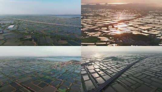 江汉平原大型水产养殖基地高清在线视频素材下载