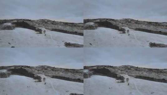 内蒙古乌兰布统大草原冬季航拍高清在线视频素材下载