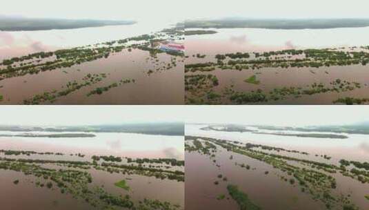 航拍饶河湿地风光高清在线视频素材下载