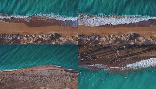 海浪 海滩 海岸线 海鸥 碧波荡漾高清在线视频素材下载