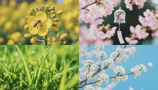 春天生机勃勃大自然风光高清在线视频素材下载