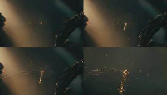 微距特写自然光影素材高清在线视频素材下载